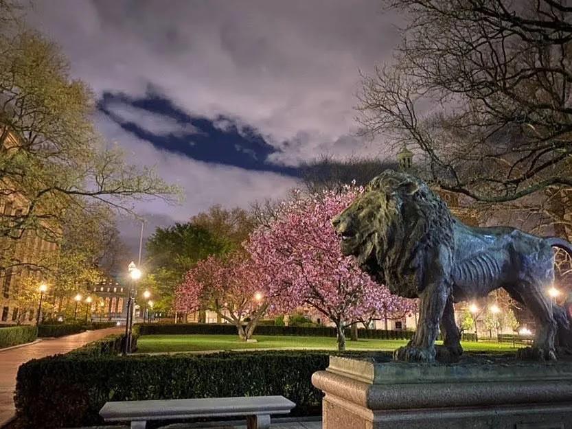 美国10所顶尖大学,美国有名十所大学