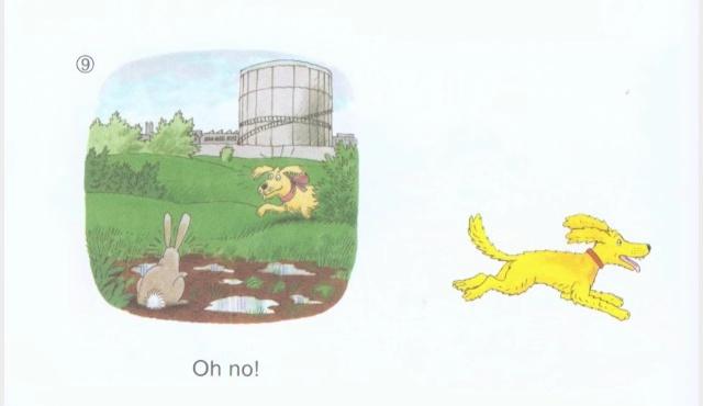 1级绘本（B）Lesson26：Floppy狗与兔子的两次悲惨相遇