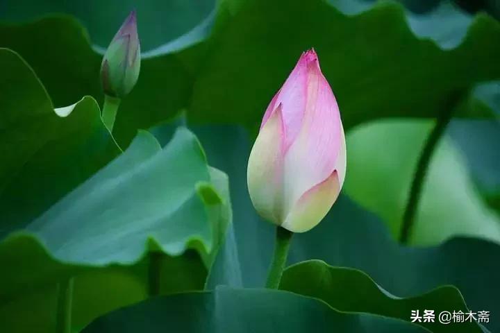 山水谢灵运诗词,李白秋登宣城谢脁北楼原诗详解