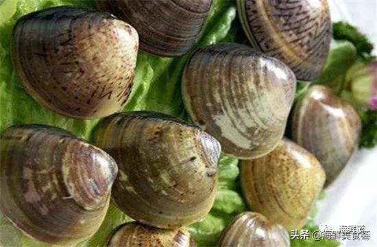 102种海鲜,营养丰富的海鲜有哪些品种