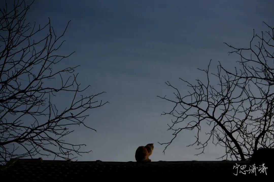 “5”缘有缘我与摄影的故事也是我与佳能“5”的故事