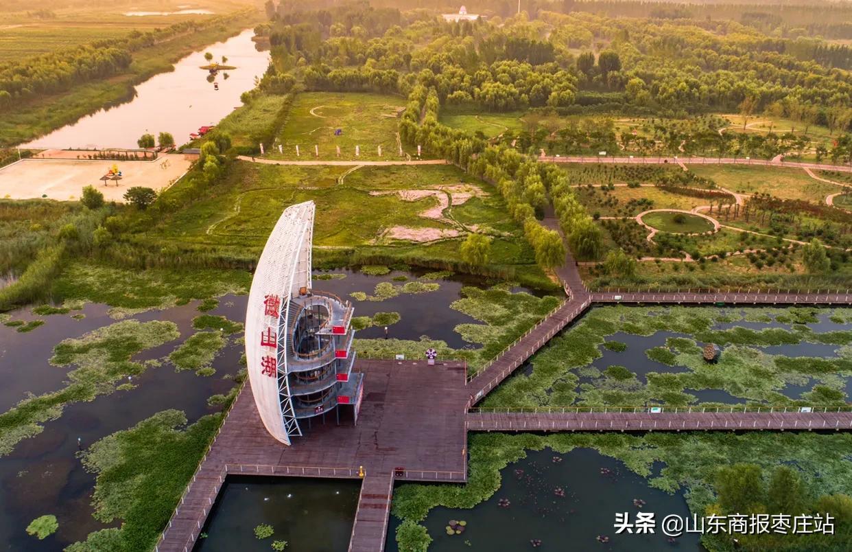 滕州微山湖湿地红荷节明星,20届滕州微山湖红荷湿地开幕式