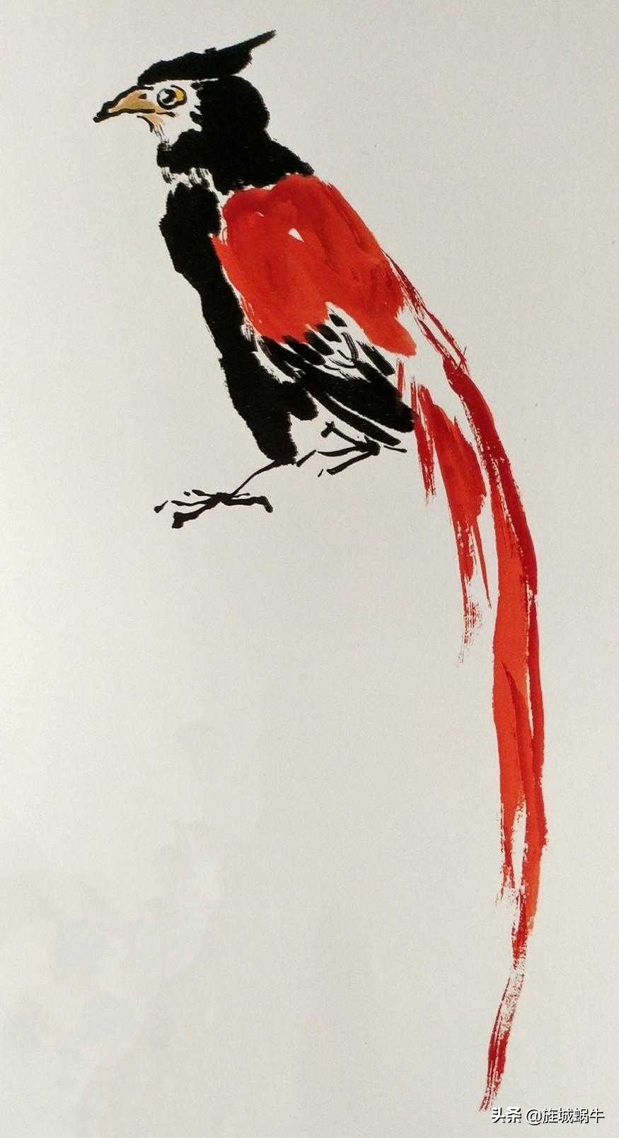 国画飞着绶带鸟的画法步骤,国画绶带鸟的画法