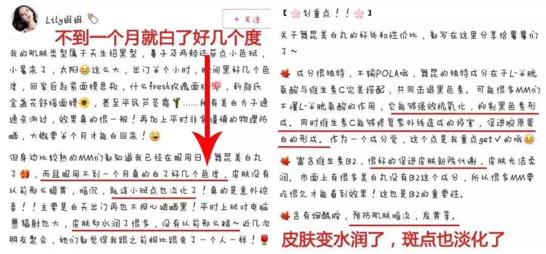 日本skii小灯泡多少钱,skii两款小灯泡对比