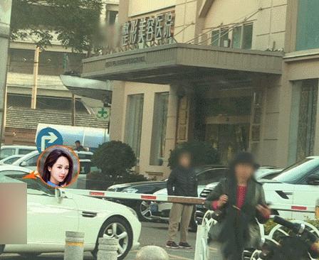 杨紫神秘活动,杨紫认出神秘嘉宾了吗