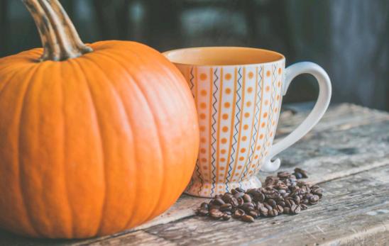 种植南瓜出蛆原因,种的南瓜总是烂怎么办