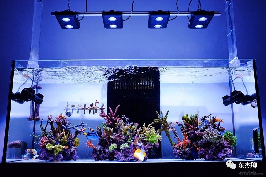 海缸最好的过滤系统,海缸推荐用什么过滤器