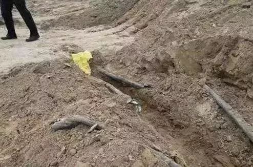 挖断国防电缆直升机来了视频,河南开封挖断国防电缆处理结果