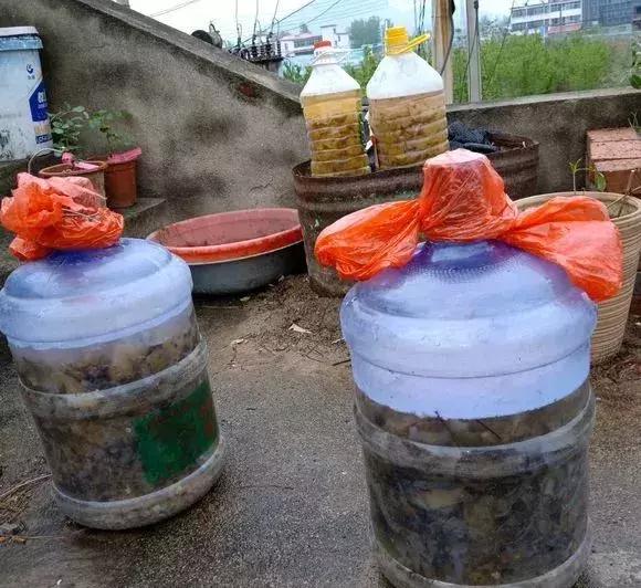 自制花肥太臭怎么办,怎样去除自制花肥的臭味