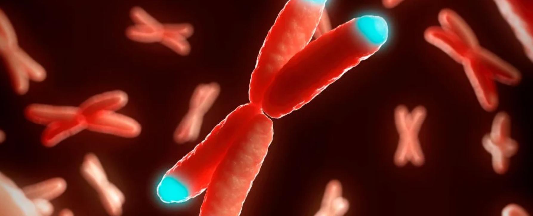 揭秘衰老：高压氧疗法逆转人类细胞衰老过程，长寿有望