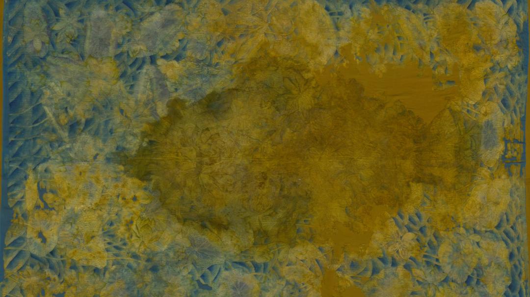 慈禧太后的穿戴,慈禧驾崩时穿的衣服