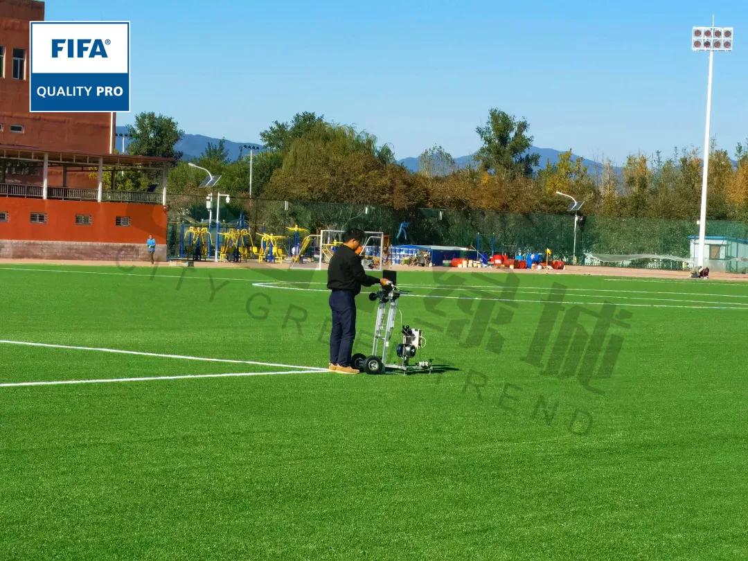 cgt缁垮煄鑻辫秴,cgt缁垮煄浣撹偛浜т笟闆嗗洟