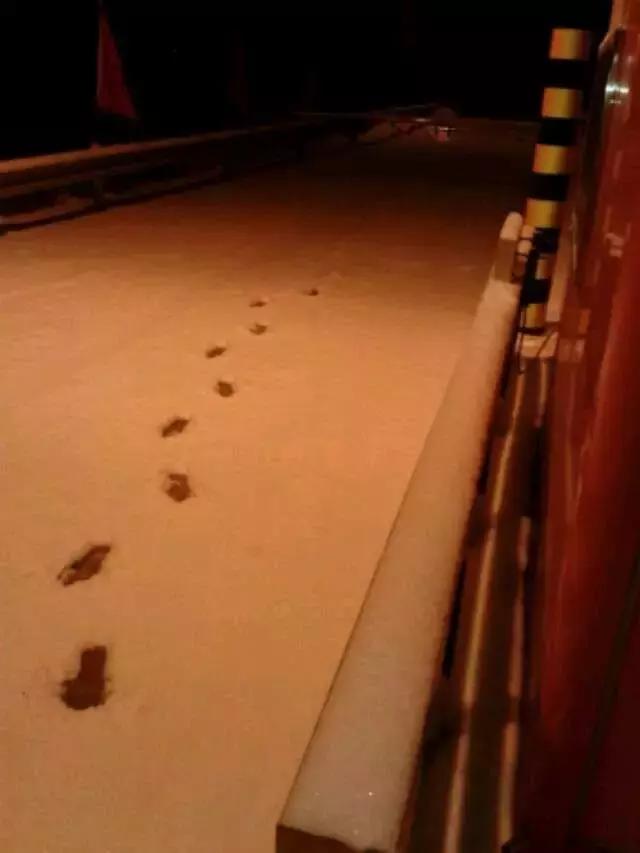 被小你几岁的男孩子表白怎么办,被自己小五岁的男孩子表白怎么办