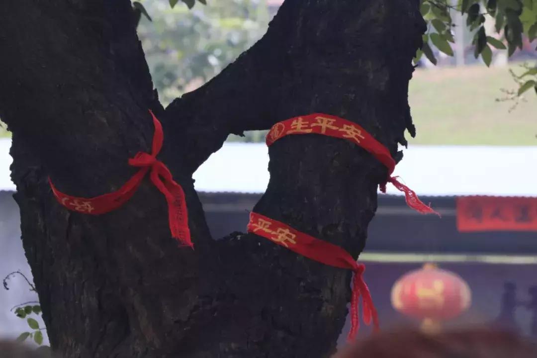 百年不老传说,焦作牛郎织女景区