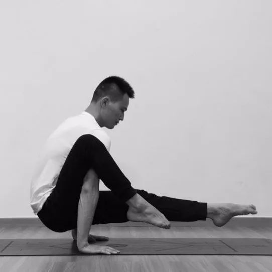 零基础学瑜伽学院,东方瑜伽学院太极瑜伽