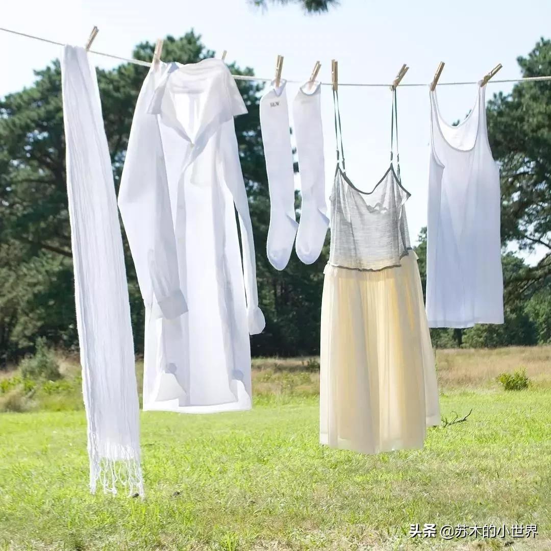 洗护好物100种,什么牌子洗衣服干净最好用