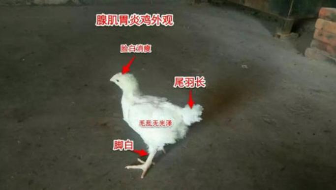 鍒瀵勭敓铏伔璧版垜浠殑鍏绘畺鍒╂鼎,鍒闇夎弻姣掔礌鍋疯蛋浣犵殑鍏绘畺鍒╂鼎