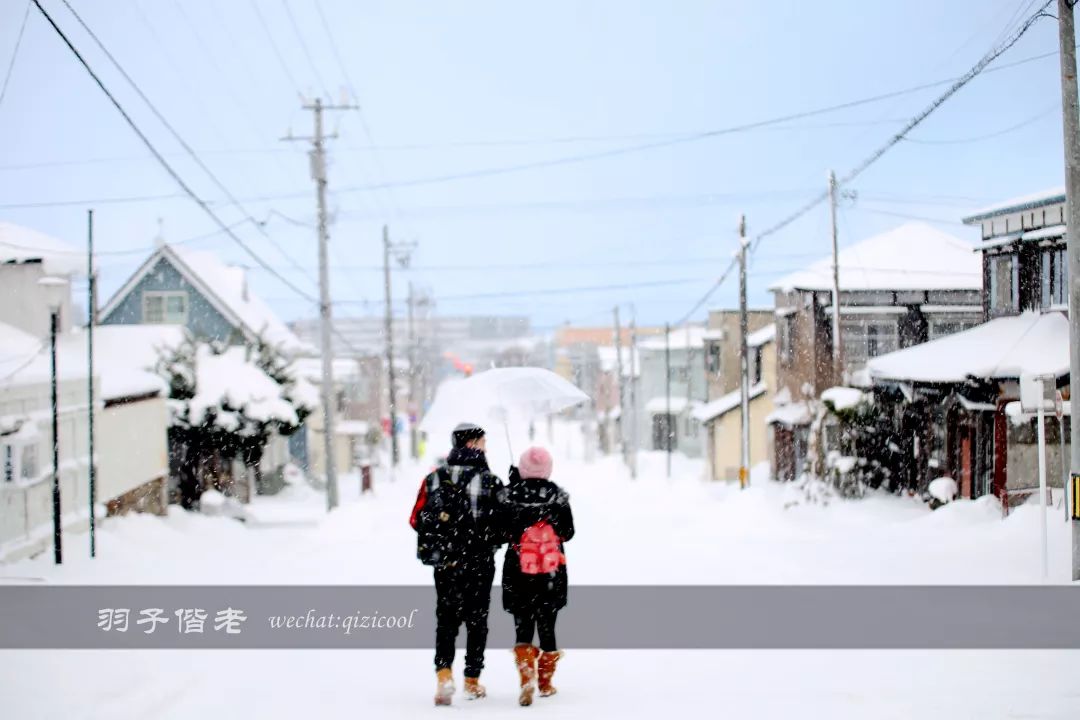 日本10天自由行费用北海道,东京北海道5日自由行攻略