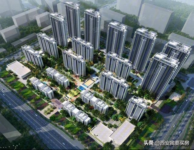 国樾府最新消息,国樾府高层