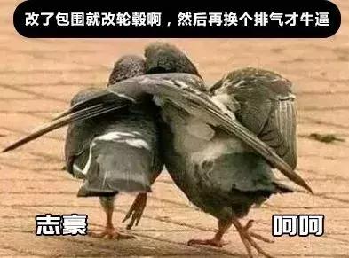 新思域加速,新思域开了几年的感受