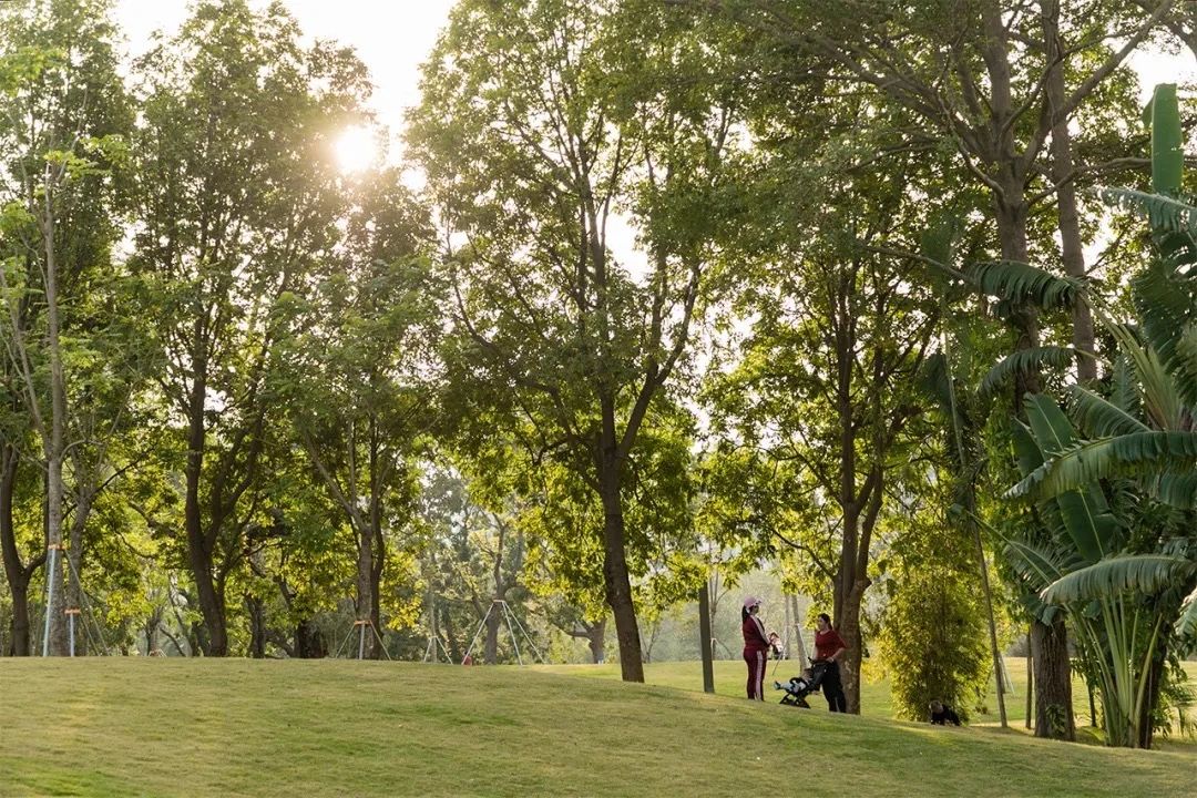 坐11号线去深圳看海,11号线碧海湾看海