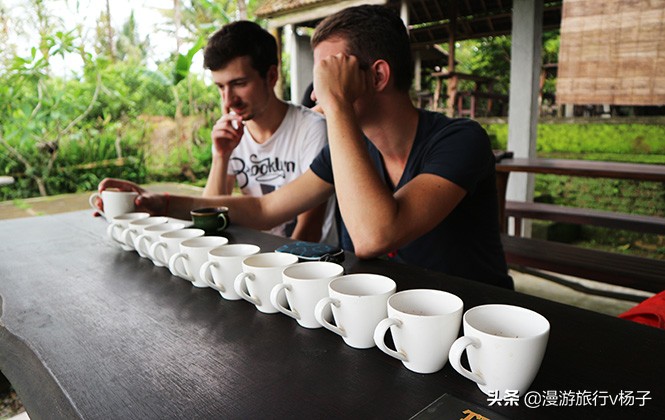 巴厘岛什锦饭和猫屎咖啡,巴厘岛的猫屎咖啡豆的价位