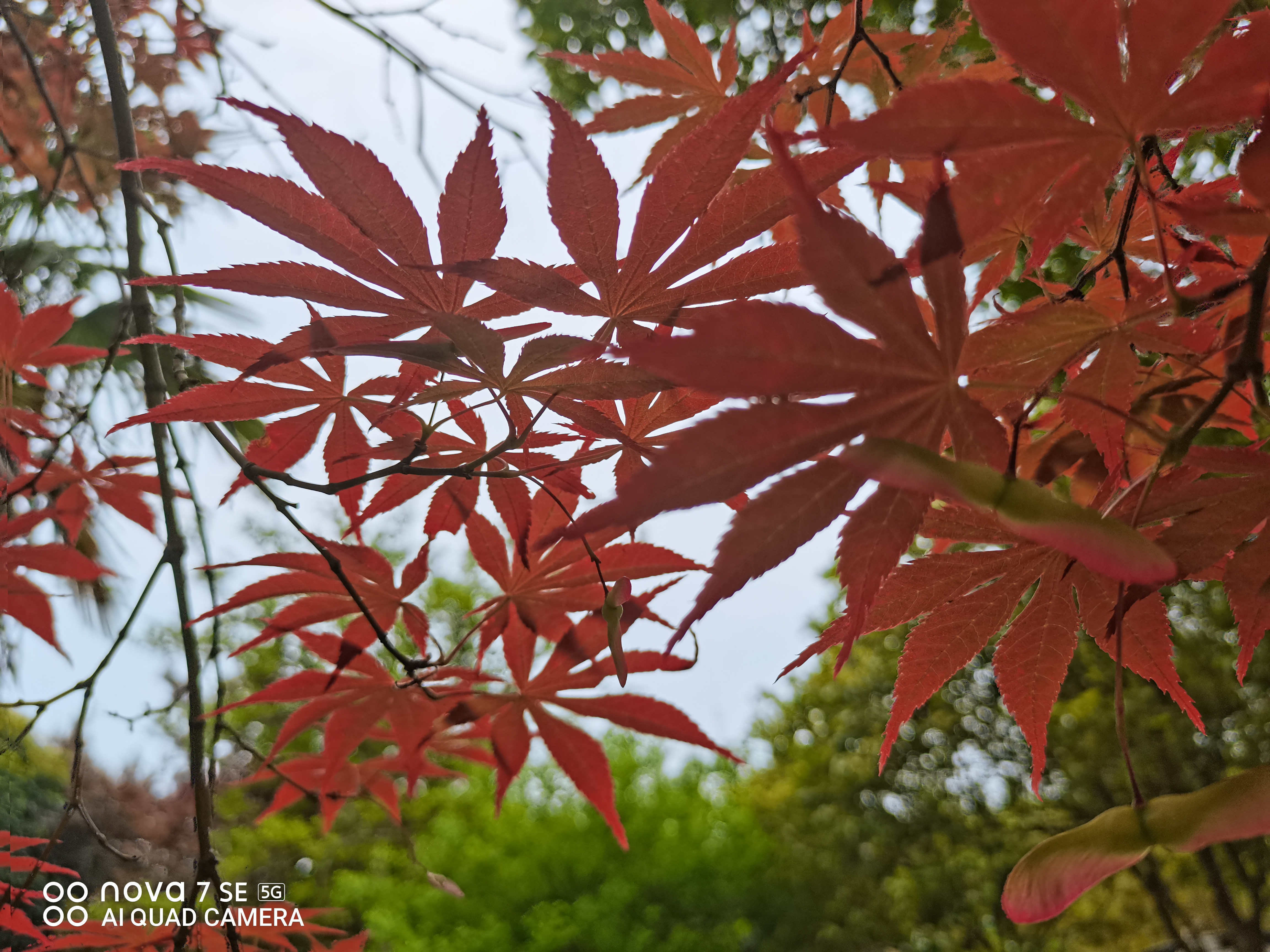 华为nova7se现在属于什么水平,2023年华为nova7se还值得入手吗