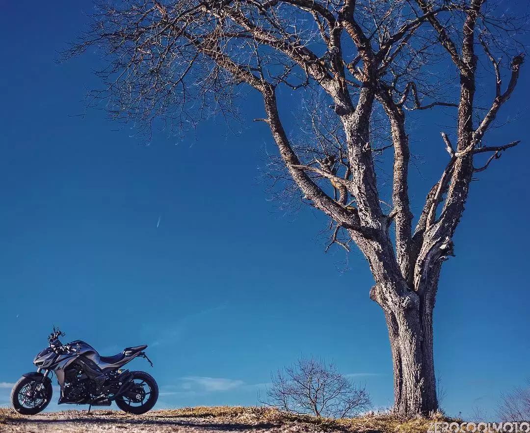 川崎的实力,川崎2024款z1000