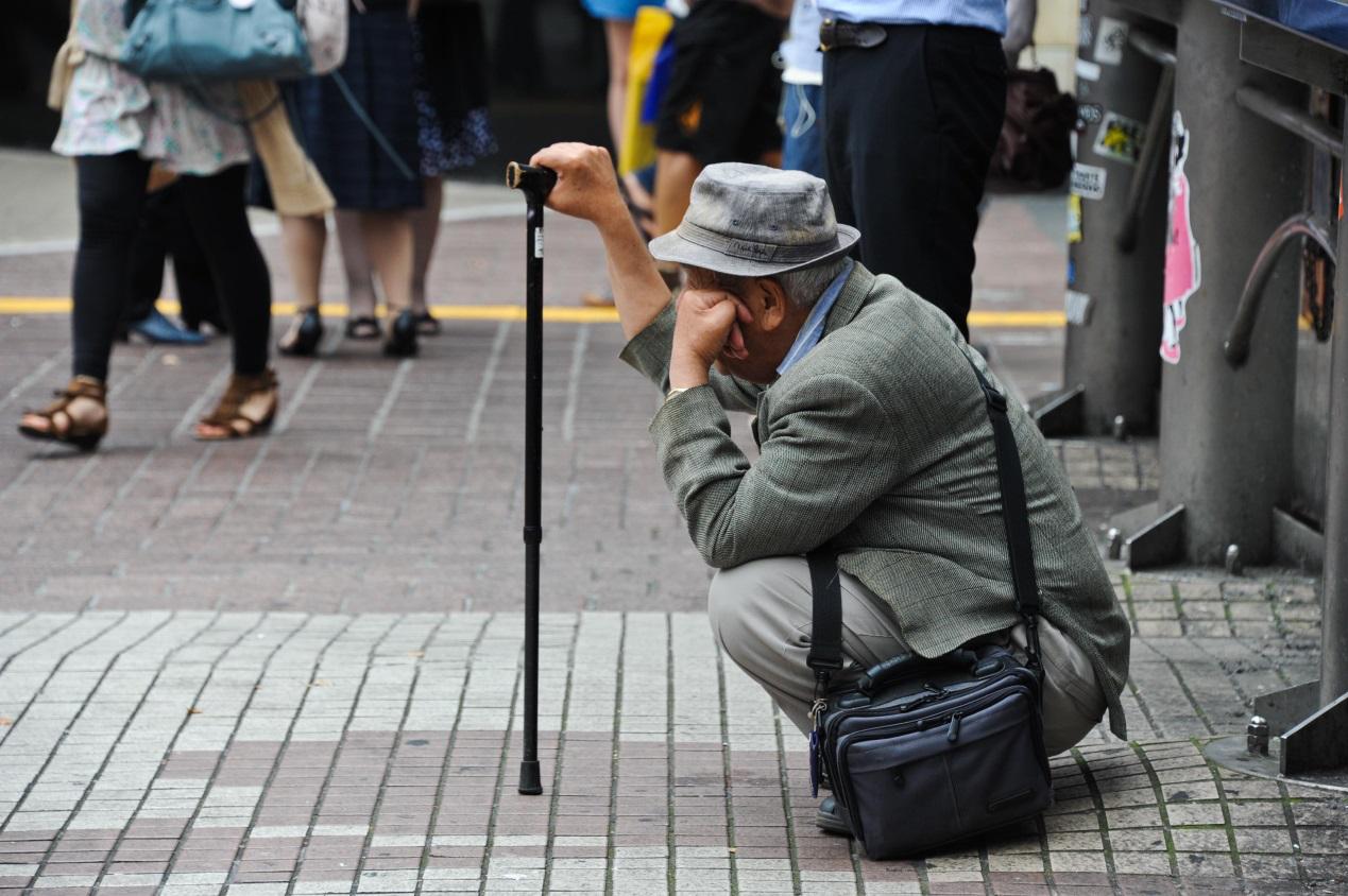 蓝城康养产业园,蓝城健康产业园项目