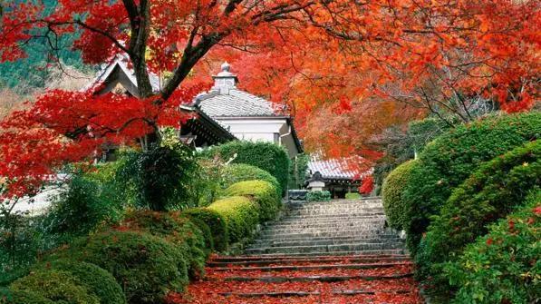 马鞍山市旅游惠民卡,马鞍山旅游卡活动