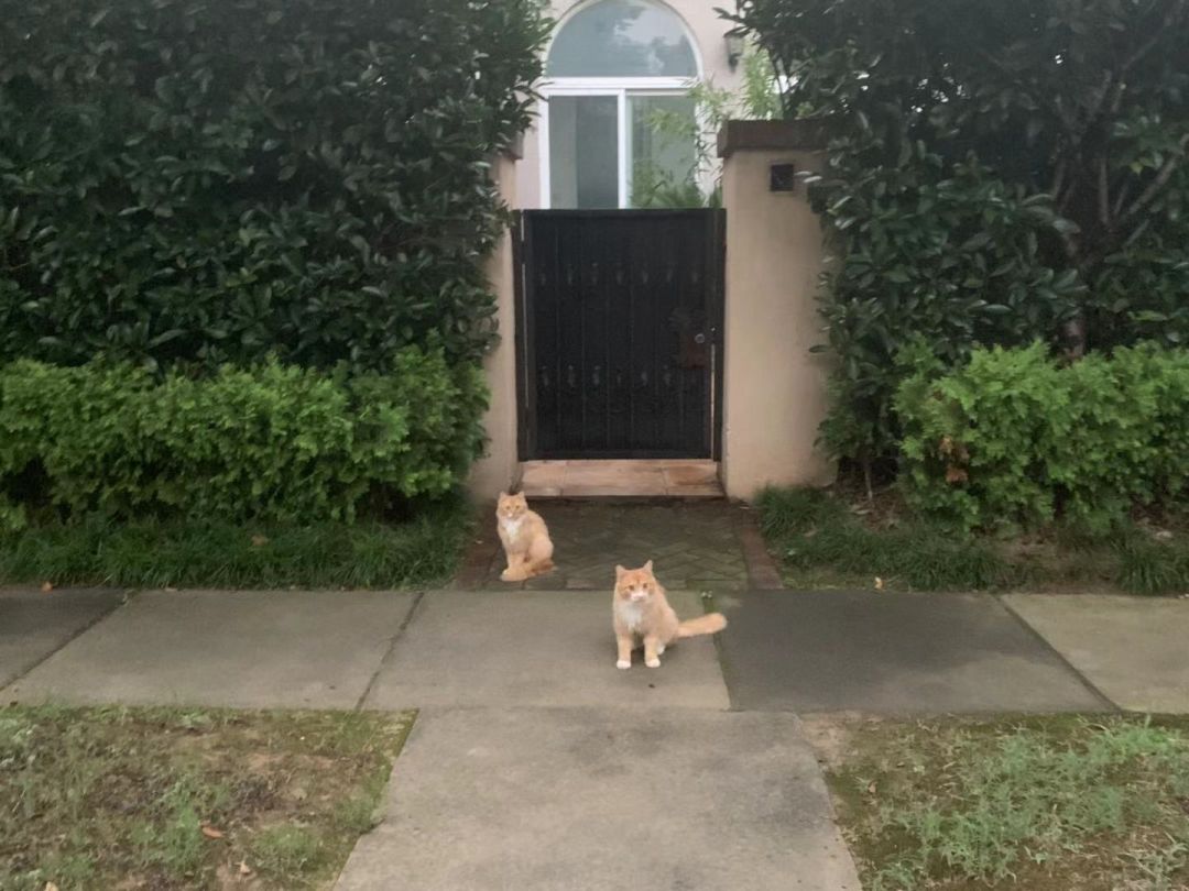 南京六大亿元顶级豪宅,南京千万以上豪宅真实成交量