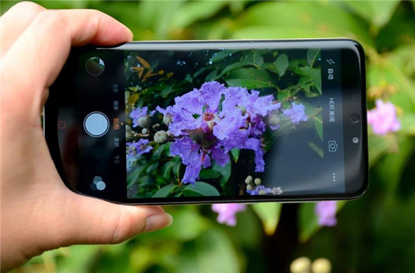 手机拍照很方便为什么要买相机,为什么新手不建议买太贵的相机