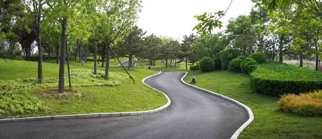 海,对北京中产意味着什么?