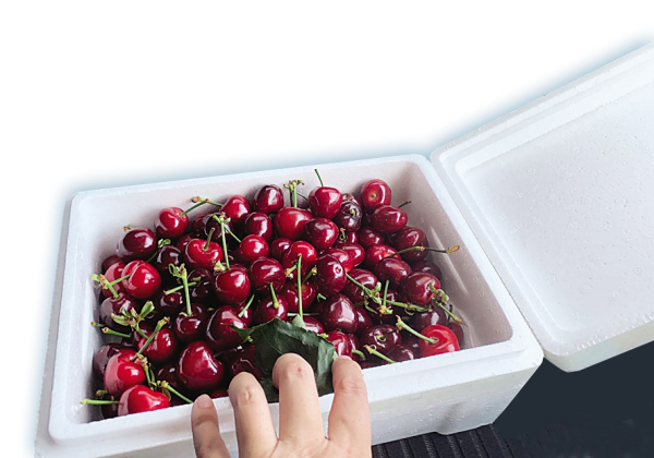 为什么新买的樱桃会有一股药味,大樱桃有药味还能吃吗