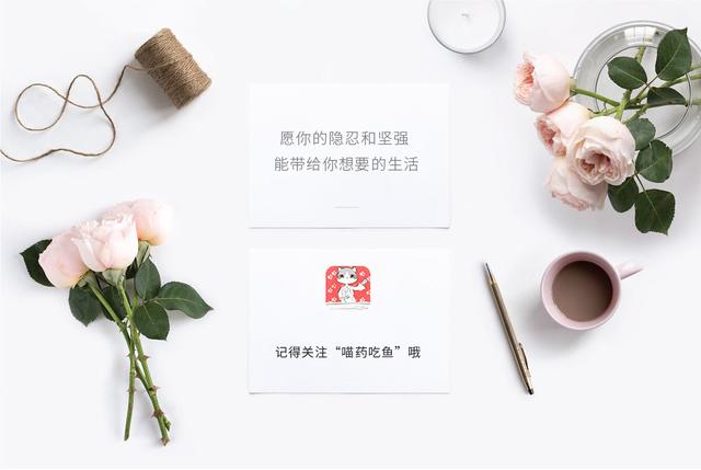 如何让胆小的猫咪喜欢上你,怎么让一只胆小的猫咪胆子变大