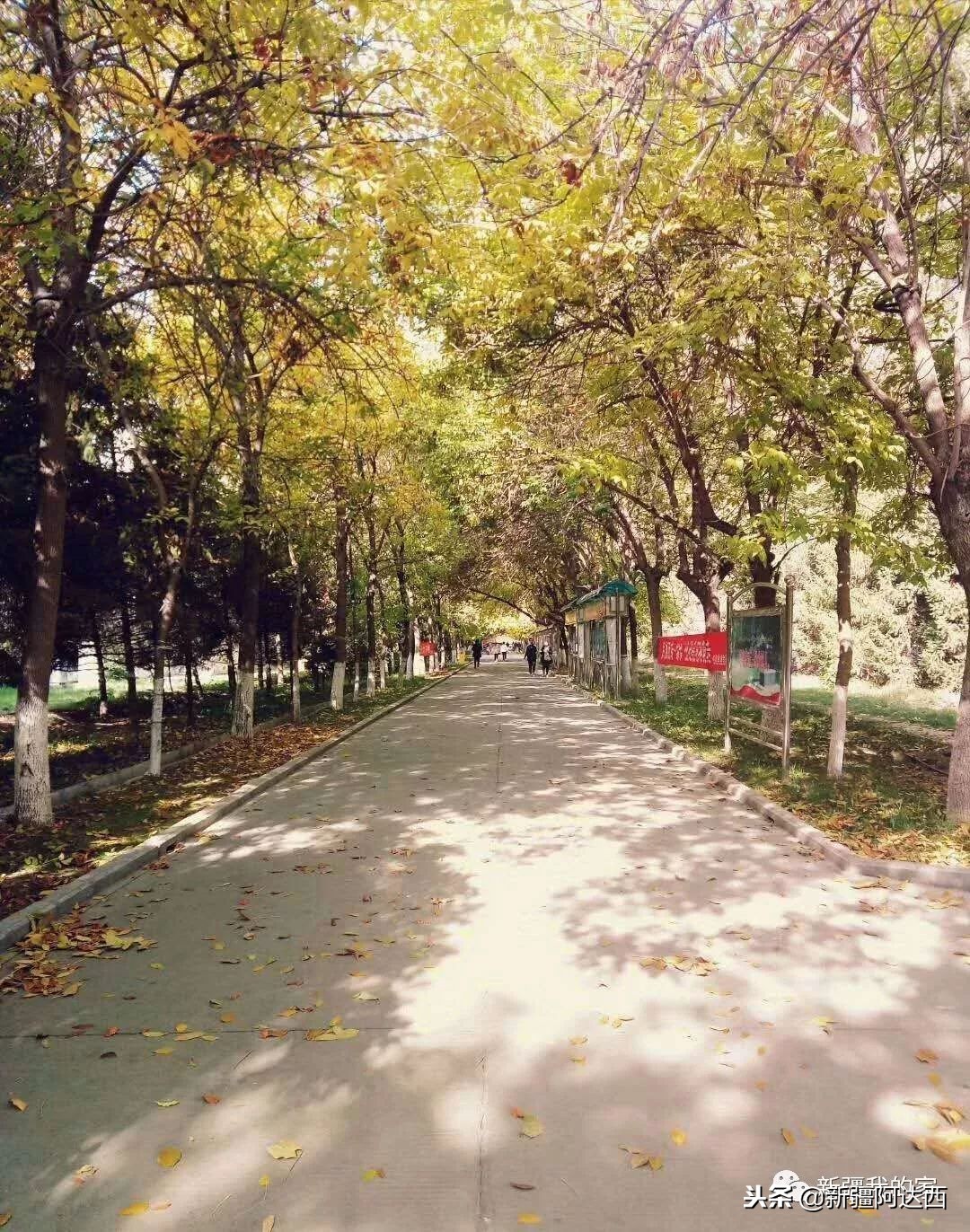 伊犁师范大学匆匆那年,终于等到你萨克斯演奏