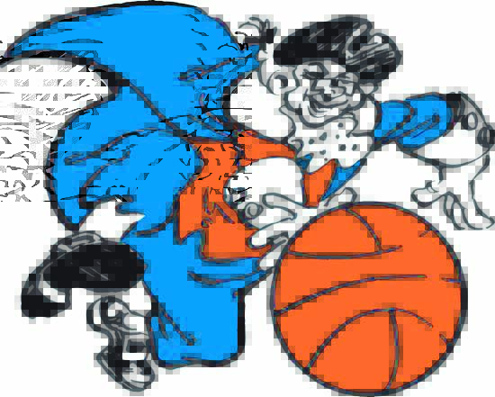 为什么小牛队更名独行侠,小牛是哪年改为独行侠