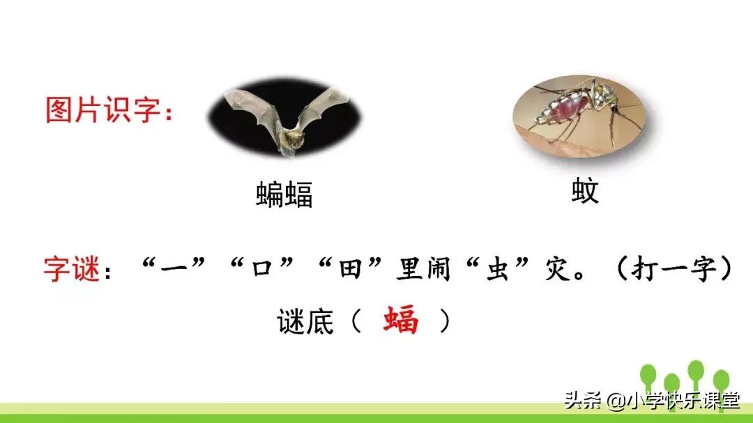 四年级上册语文蝙蝠和雷达课后题,部编版四年级上册语文蝙蝠和雷达