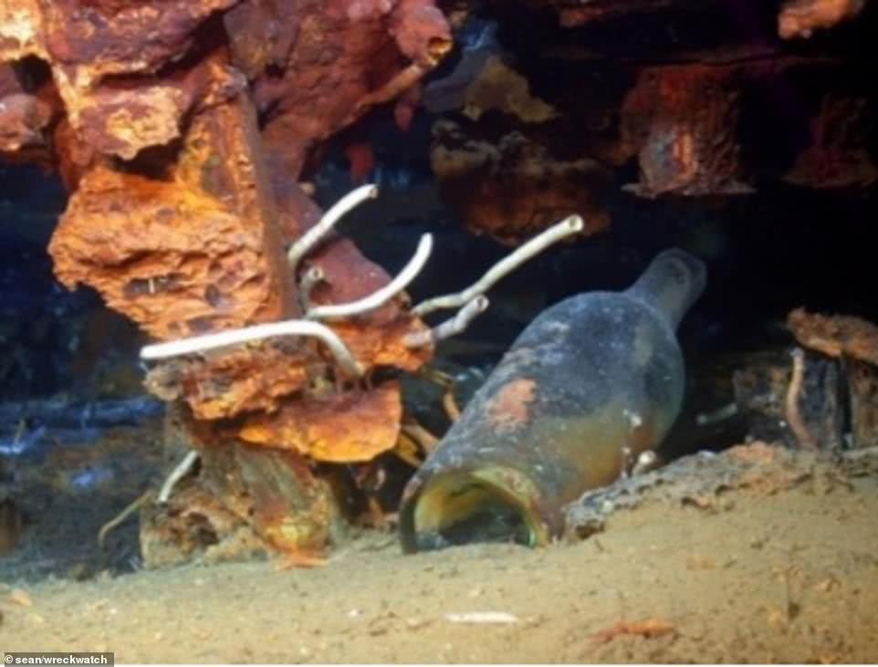 明代沉船发现价值过亿的瓷器,瓷器上的沉船视频