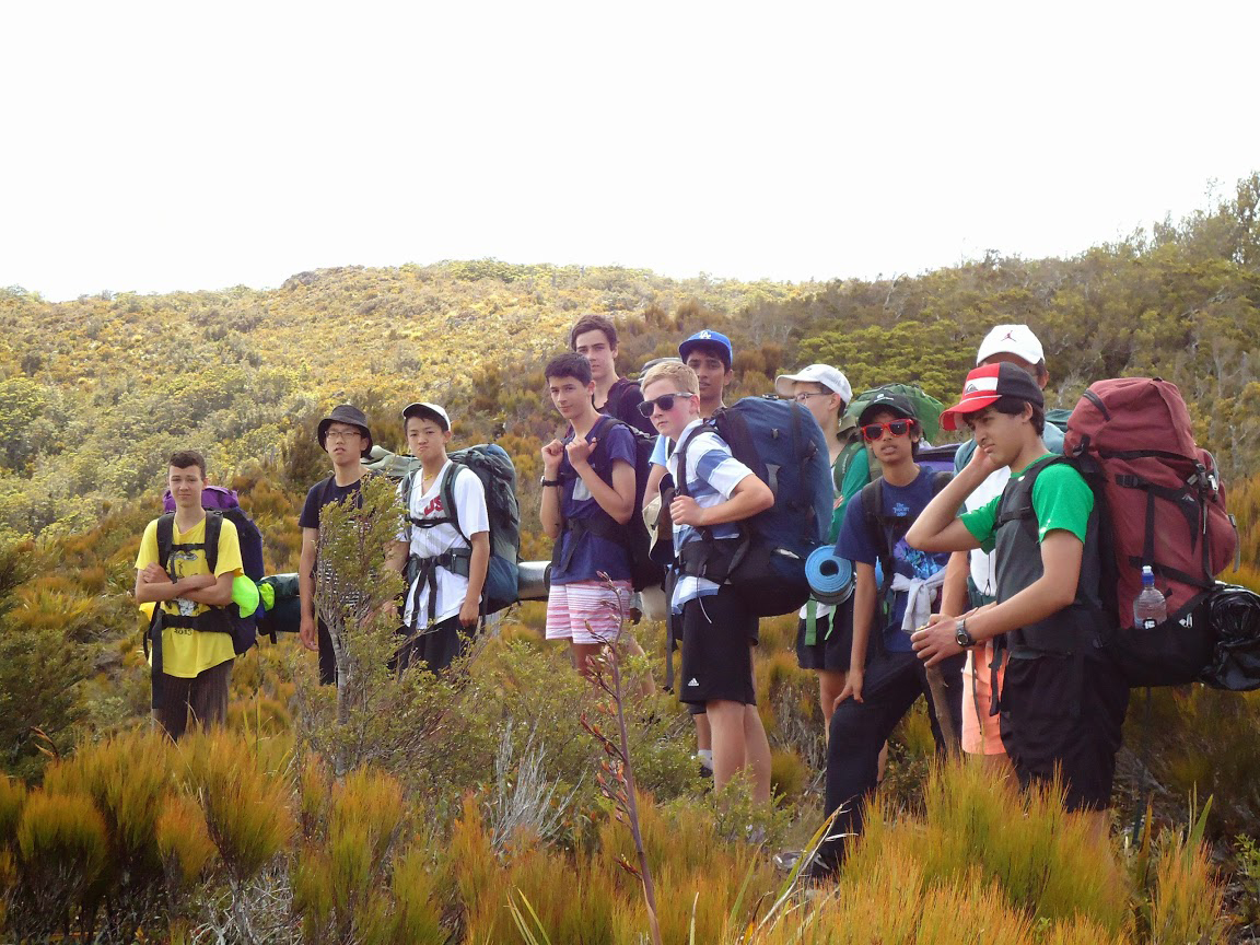 新西兰留学最初体验,新西兰小学生留学条件
