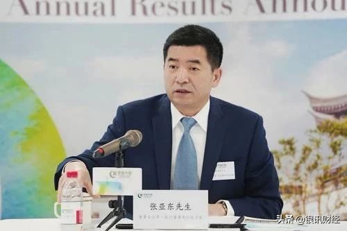 张亚东业绩,张亚东绿城简介