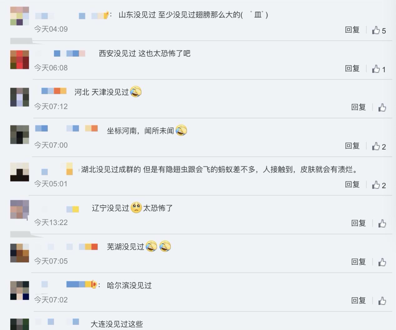 下雨天如何灭水蚁群,水蚁克星