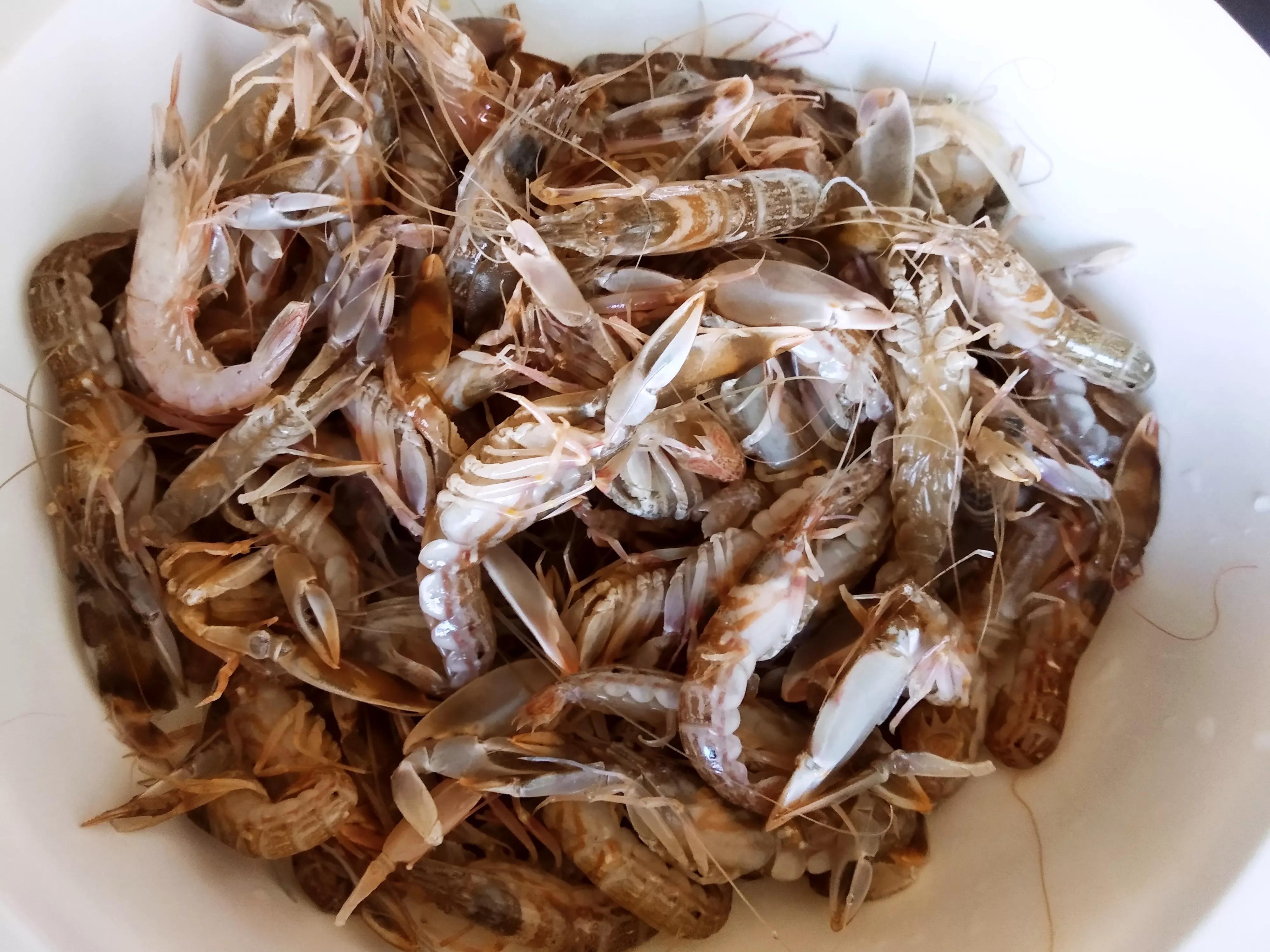 海捕小虾哪个品种好,海捕小鱼小虾混合装