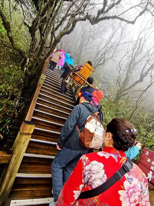 雨中的梵净山景色,烟雨梵净山