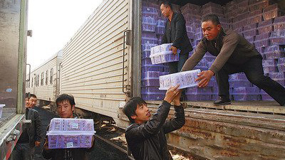 生鲜水果的操作,生鲜水果销售方式和技巧