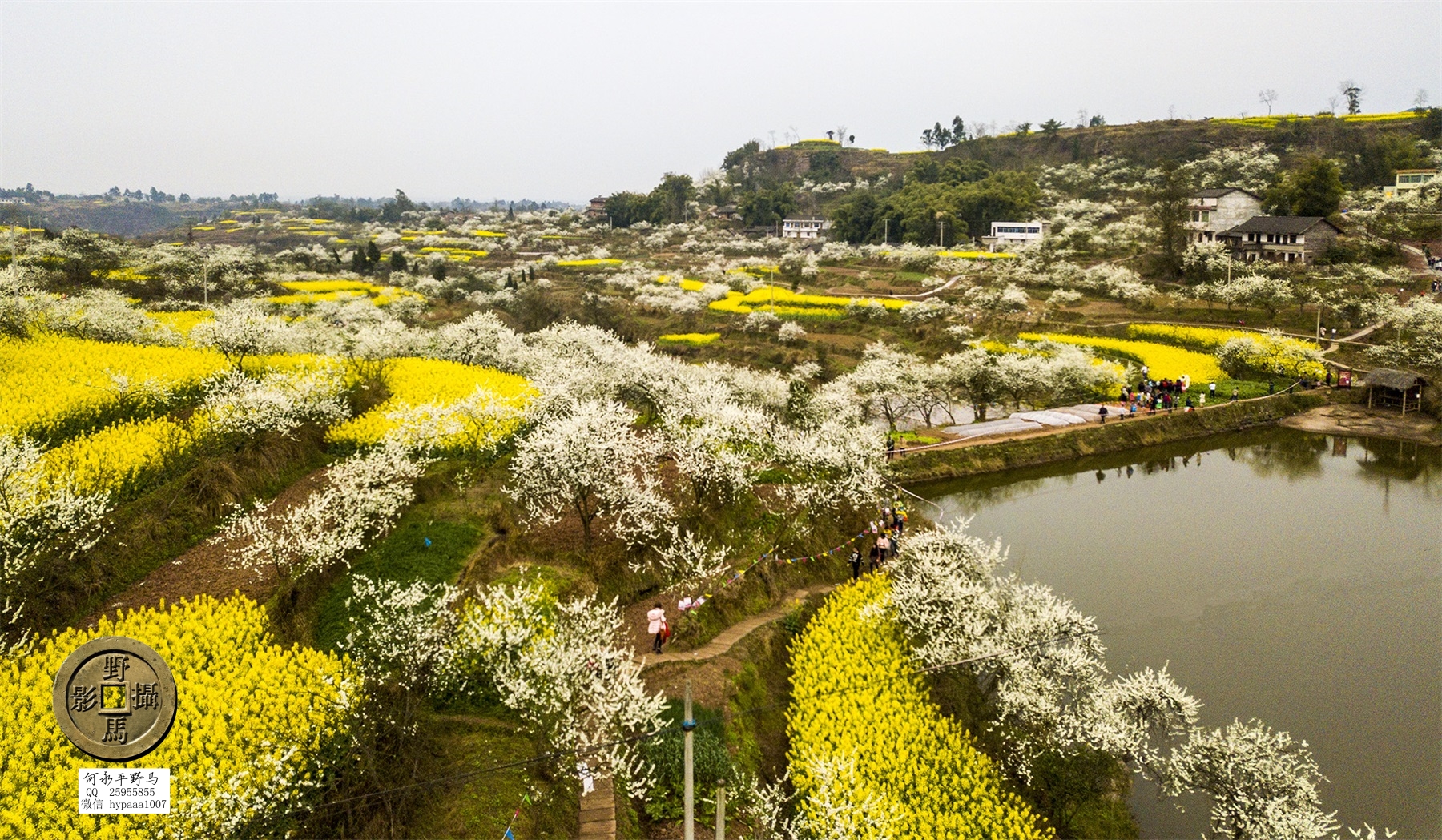 广安撤县名单查询,70年广安县有多少个人民公社