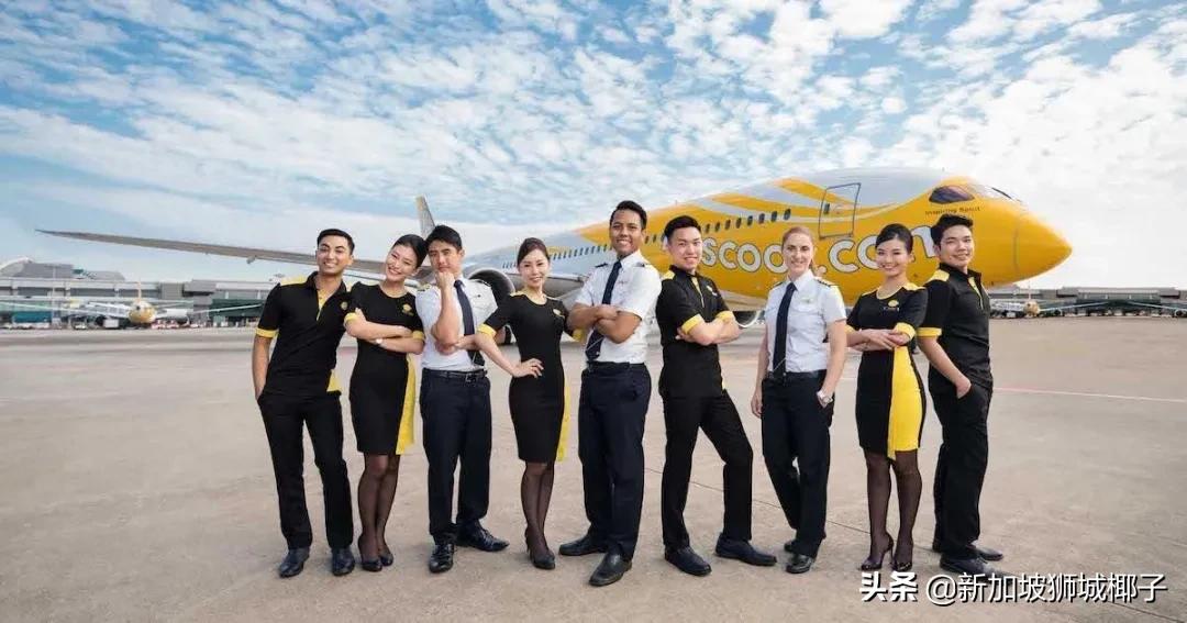 新航会降价么,新航恢复航线