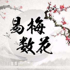 古梅花易数与现代梅花易数的区别,梅花易数的数从何而来