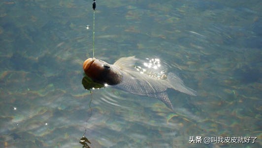 梅州钓法钓组图解,野钓梅州钓法实战视频