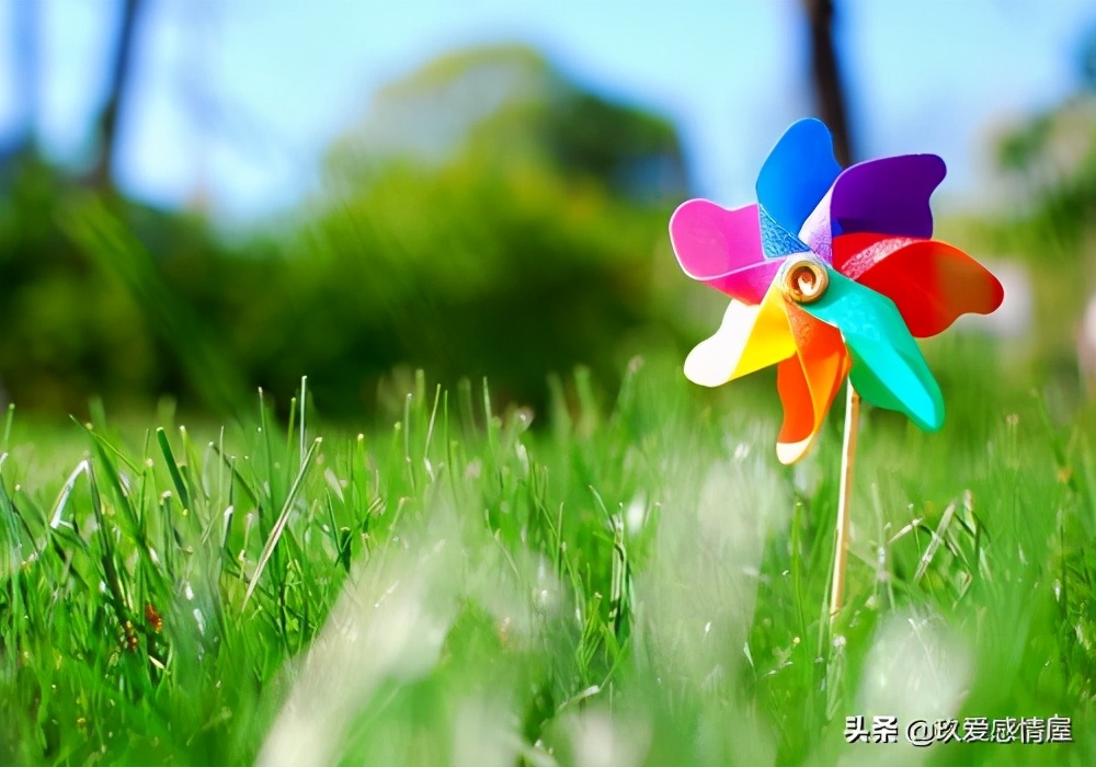 “爱到收不住，才是真的输”先好好爱自己，再去爱值得爱的人